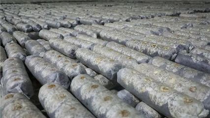 山陽、商南6個重點項目接受全市&ldquo;檢閱&rdquo;