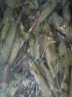 北部灣名貴海產鑒賞 從馬頭魚到深海蝦仁的冰鮮之美